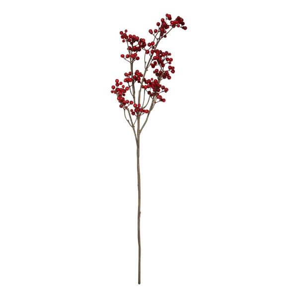 Picture of berry spray - cranberry