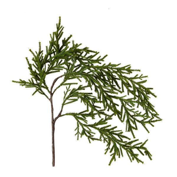 Picture of weeping pencil pine spray - green