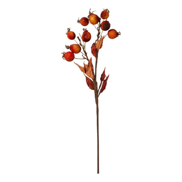 Picture of rose hip spray 18 inch - apricot