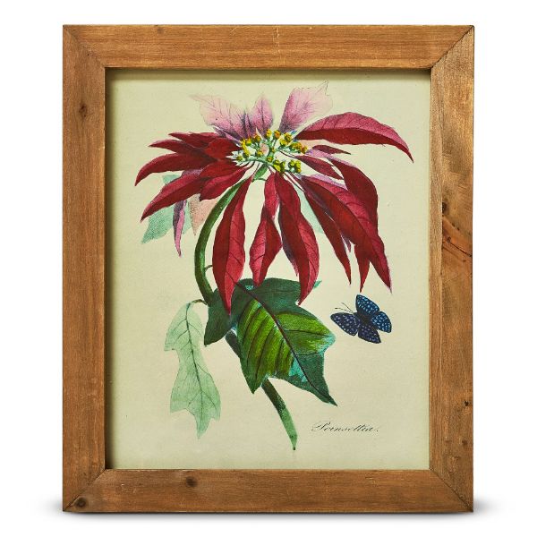 Picture of vintage poinsettia botanical wall art - multi