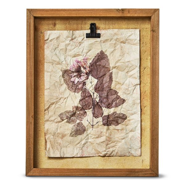 Picture of herbarium wildflower shadow box wall art - blush