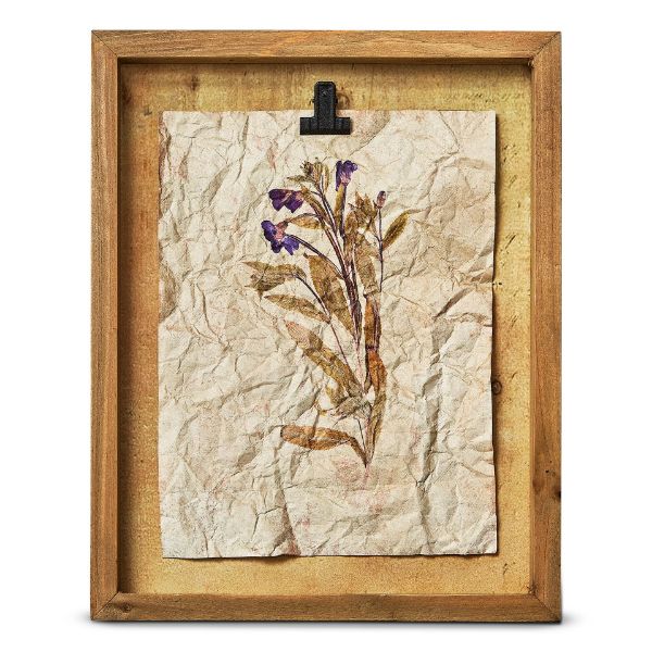 Picture of herbarium wildflower shadow box wall art - plum