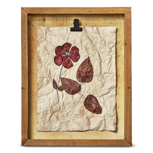 Picture of herbarium wildflower shadow box wall art - ruby