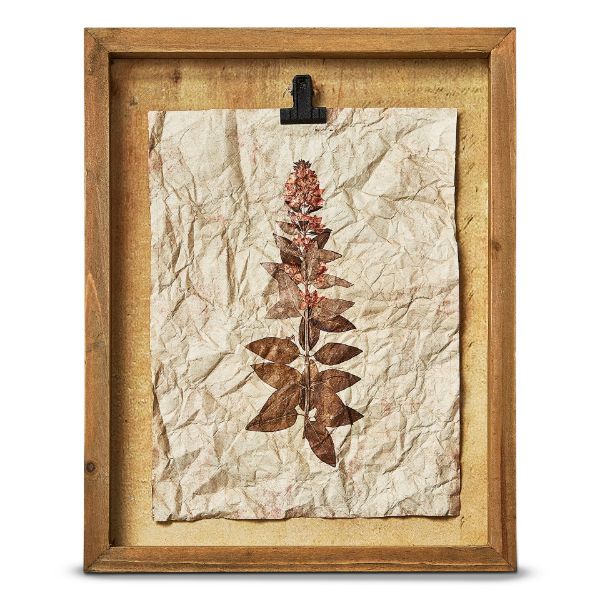 Picture of herbarium wildflower shadow box wall art - yellow