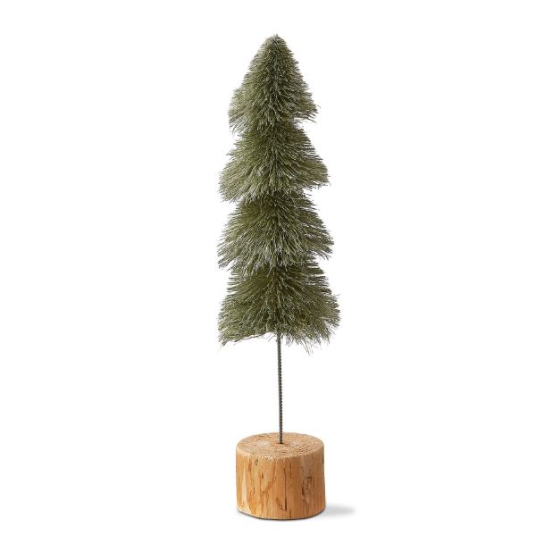 Picture of sisal tree medium - light green